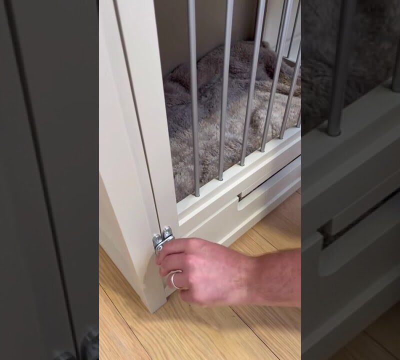 Clever Up-and-Over Dog Room Door That Will Transform Your Pet Space
