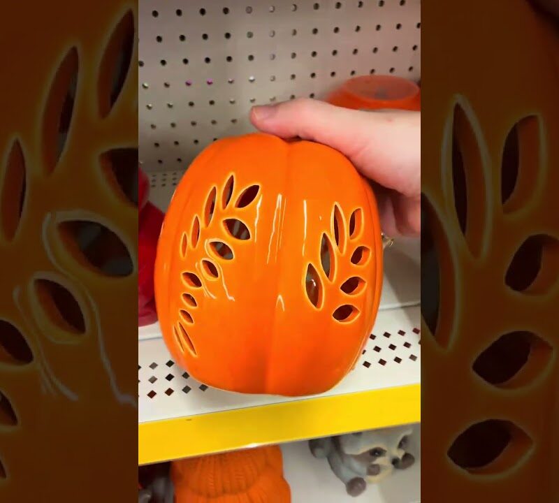 Cozy Dollar Tree Fall Decor on a $40 Budget