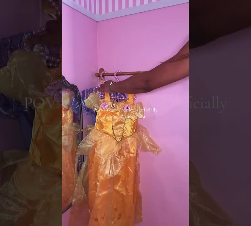 Princess Era Toddler Room: Dreamy Pink Canopy Bed Look