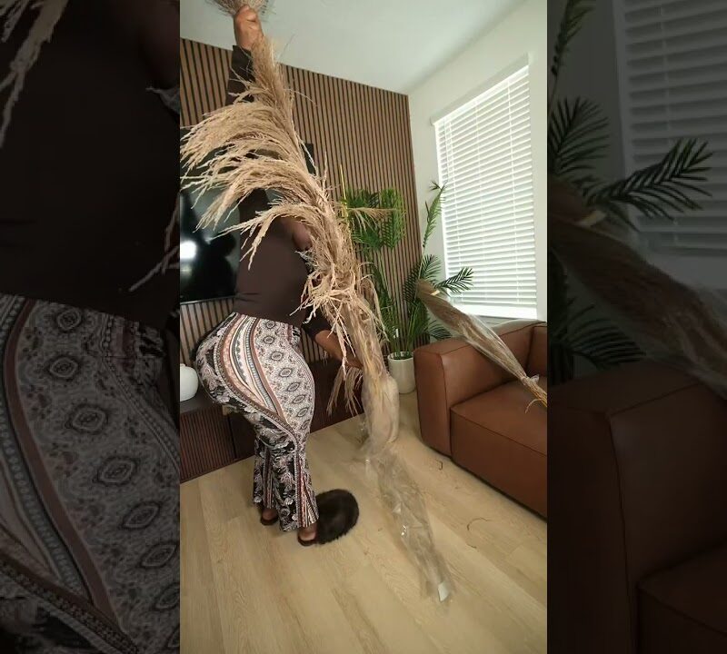 Faux Tree vs. Pampas Grass: Which Tall Decor Wins Your Living Room?