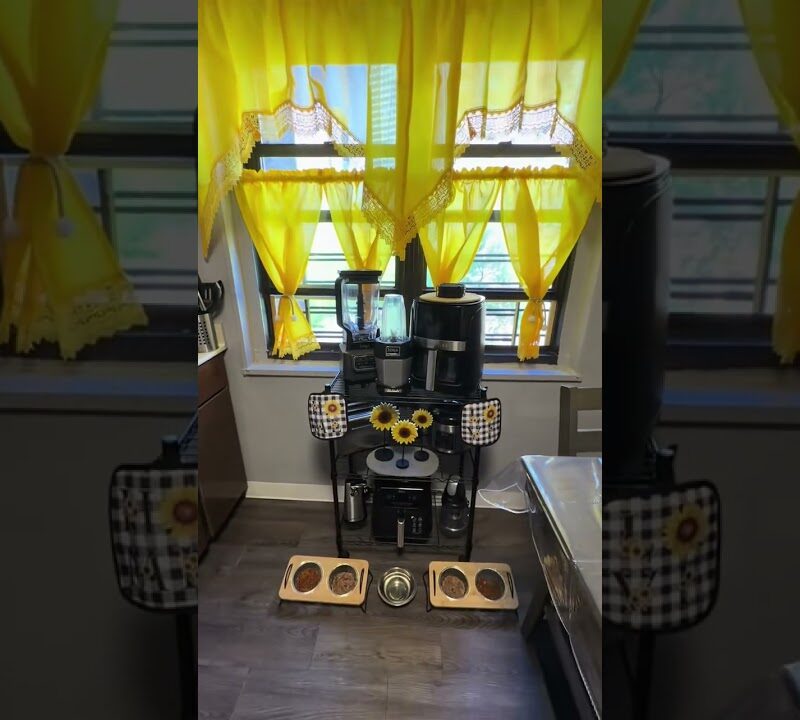 Cheerful Sunflower Kitchen Decor That Brightens Any Space