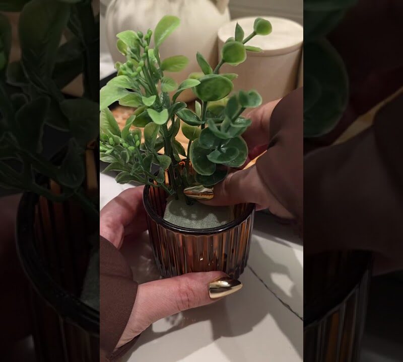 Dollar Tree Spa Bathroom Decor That Looks Anything But Cheap