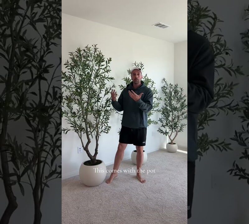 Faux Olive Tree Living Room Look That Feels Totally Real