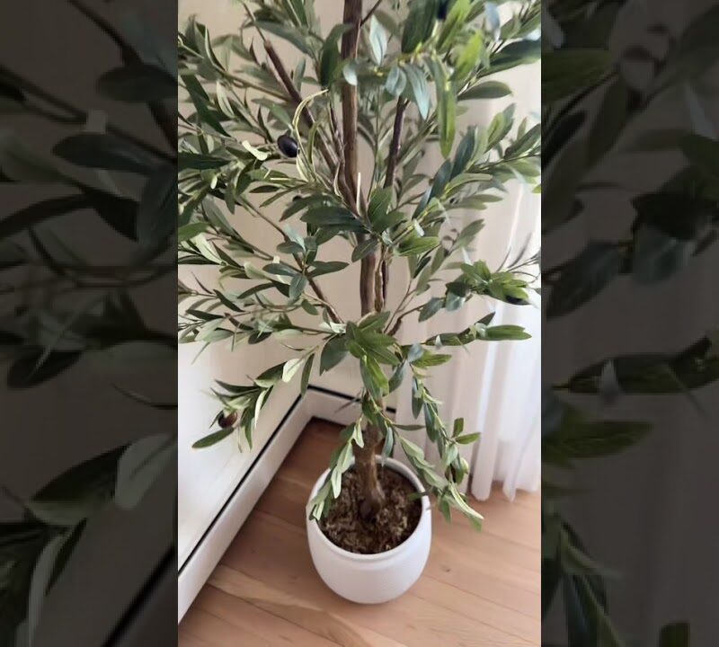 Faux Olive Tree Living Room Styling That Looks Completely Real